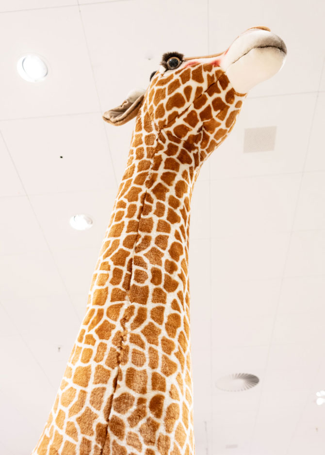 Untitled (Giraffe)
